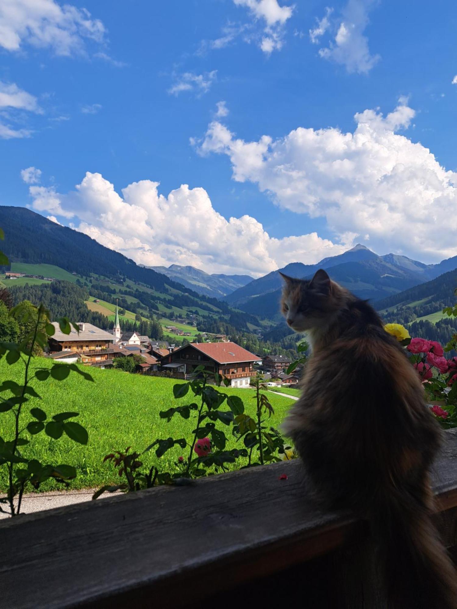 Heachhof Apartment Alpbach Luaran gambar