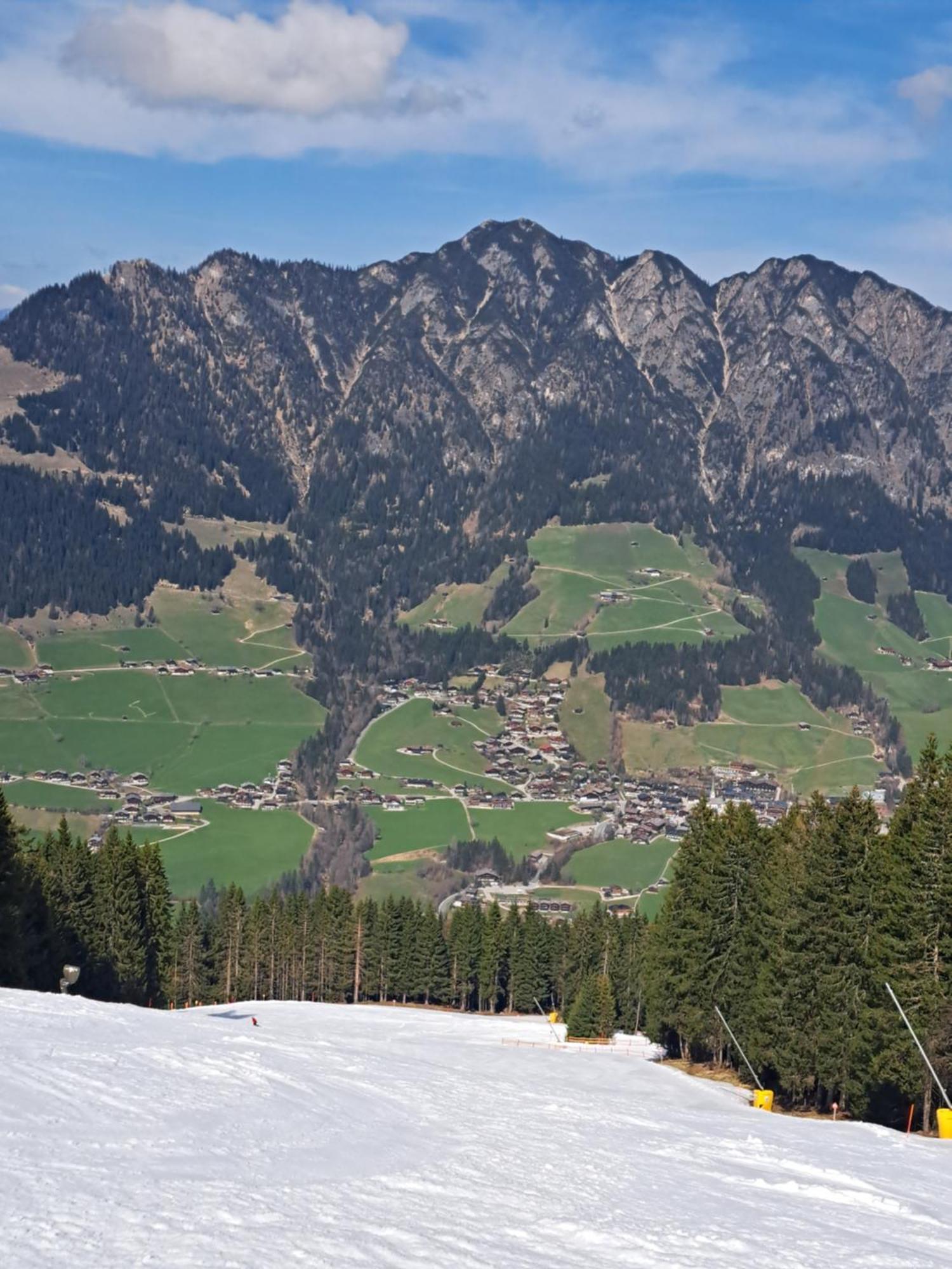 Heachhof Apartment Alpbach Luaran gambar