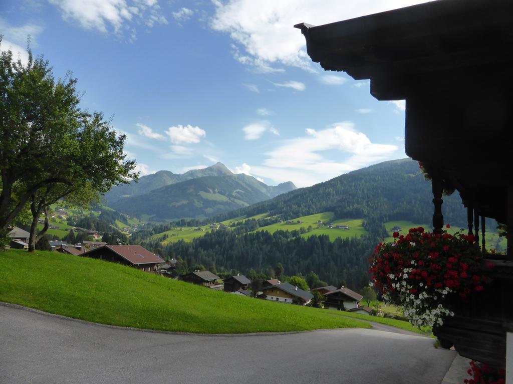 Heachhof Apartment Alpbach Luaran gambar