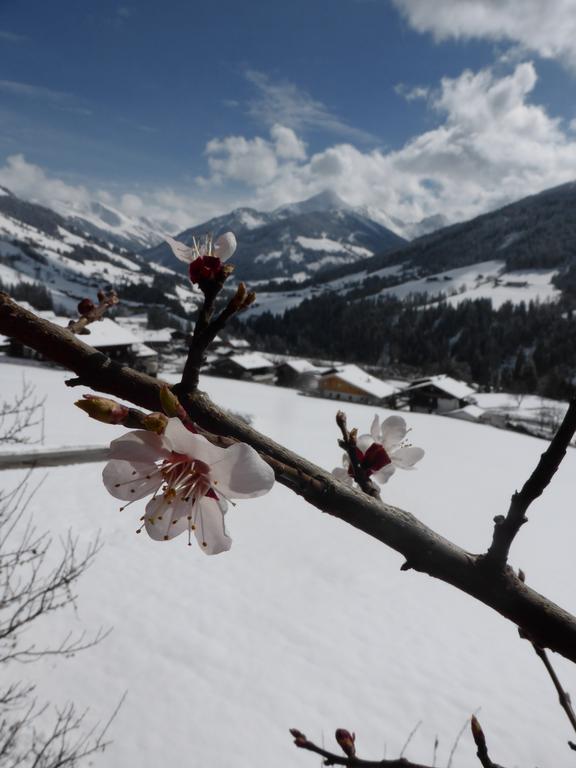 Heachhof Apartment Alpbach Luaran gambar
