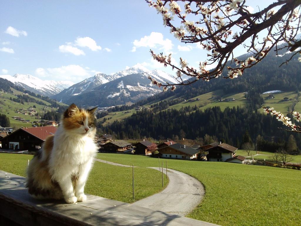 Heachhof Apartment Alpbach Luaran gambar